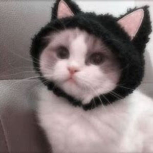 Meet your Posher, Thing in